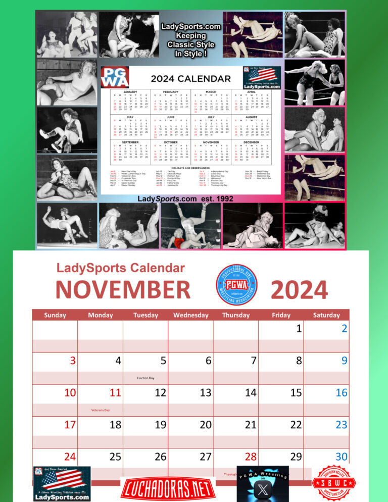 November 2024 Calender