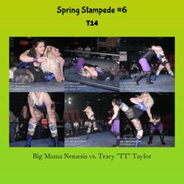 Spring Stampede Match 5 Promo